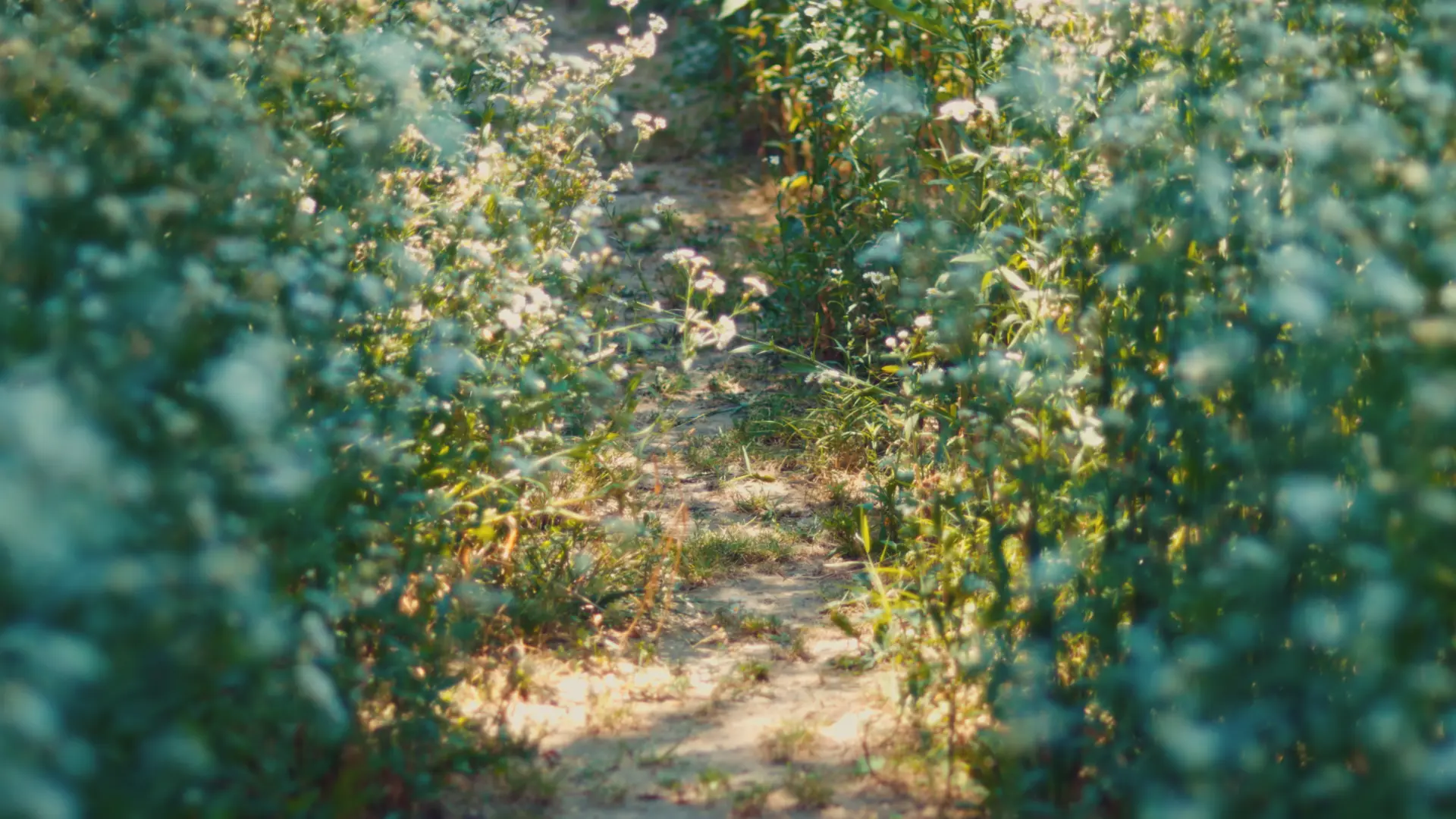 The Beauty of Colour Grading Part 2